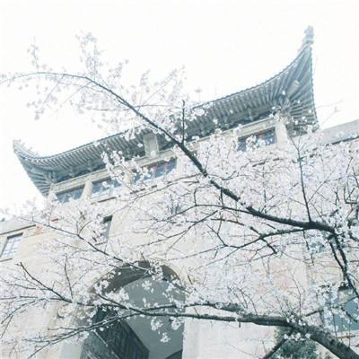 中国驻比利时使馆提醒赴比旅游中国公民加强安全防范